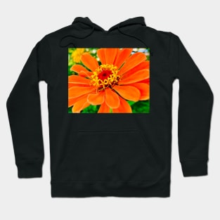 Orange Flower Hoodie